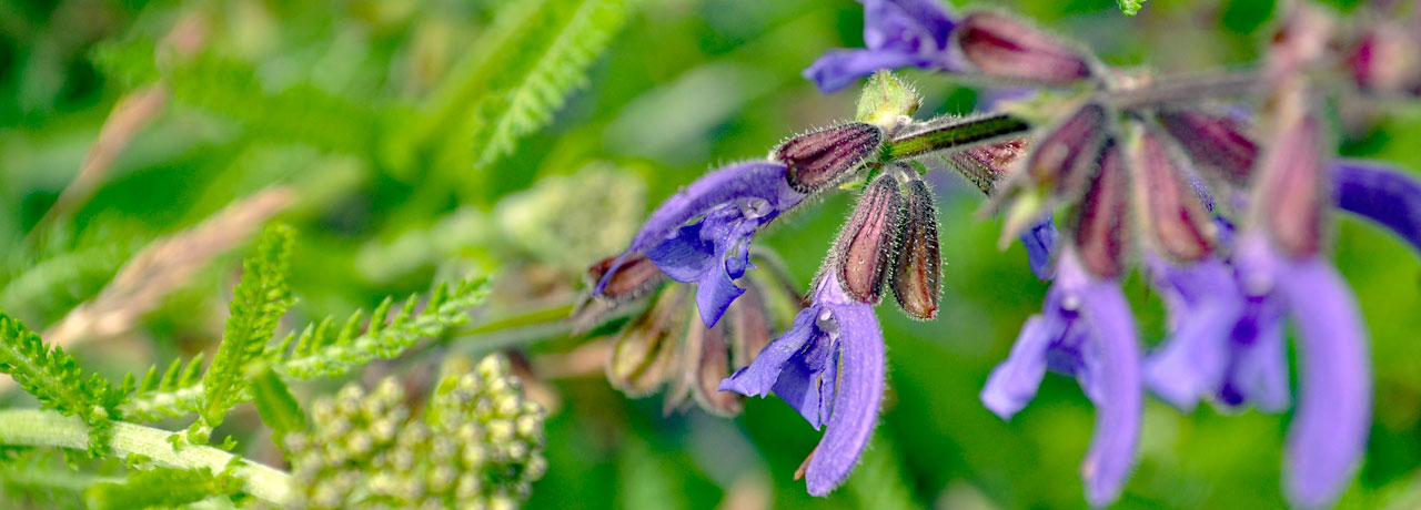 Bild: https://www.instagram.com/zumgraggen