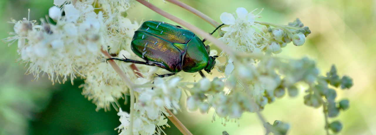 Bild: https://www.instagram.com/zumgraggen