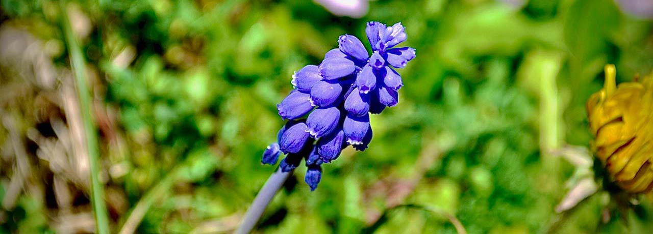 Bild: https://www.instagram.com/zumgraggen